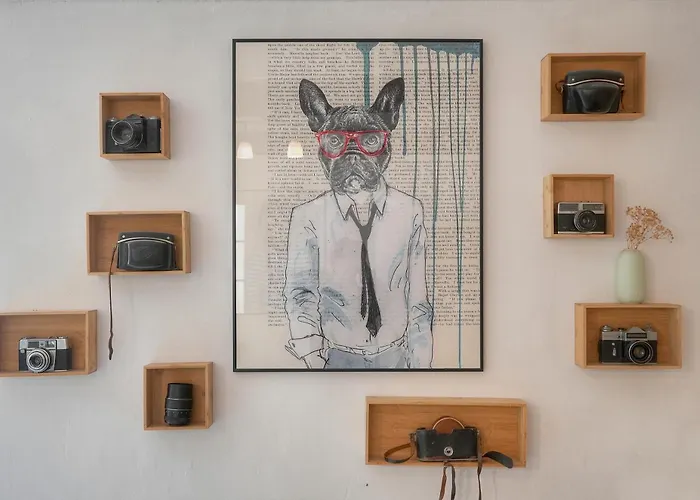 Mipim Historic House Rooftop Terrace Walk To Palais Suquet Villa Cannes